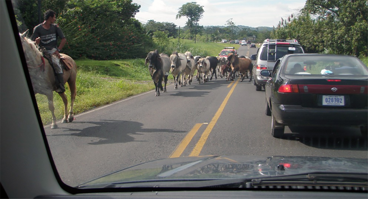 Introduction to Driving in Costa Rica: What You Need to Know