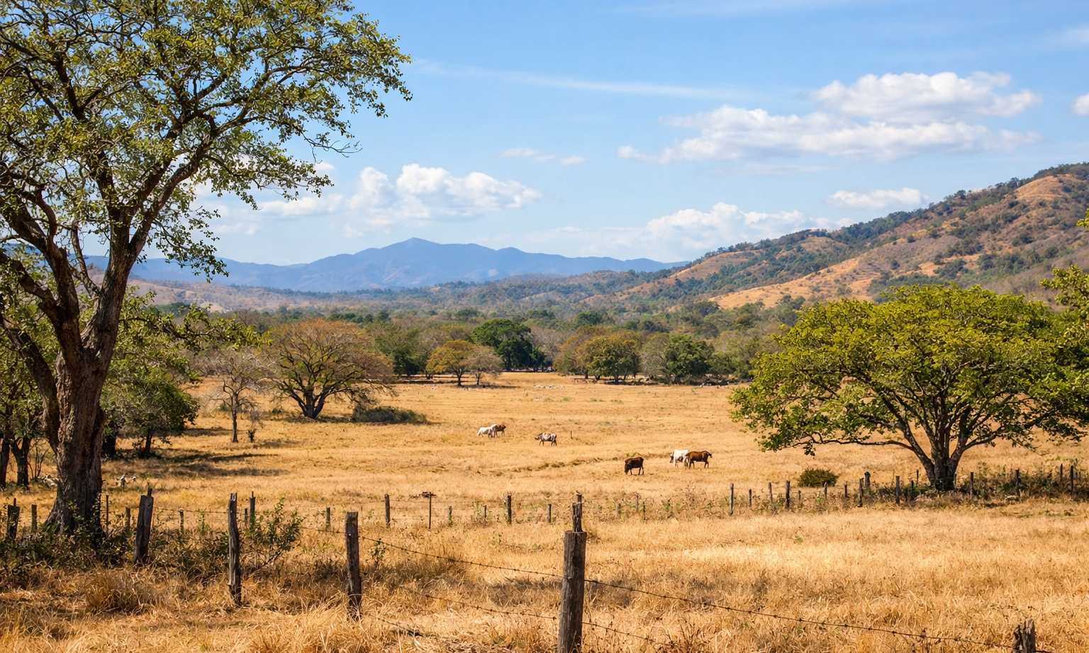Guanacaste Day in Costa Rica: July 25 and the Annexation of Nicoya
