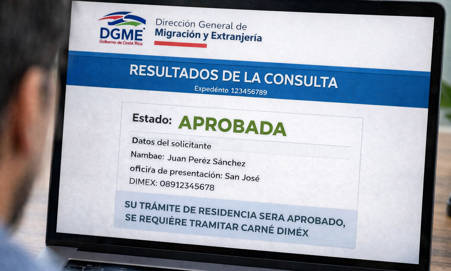 Example-style immigration status result screen showing an approval status for illustrative purposes only.