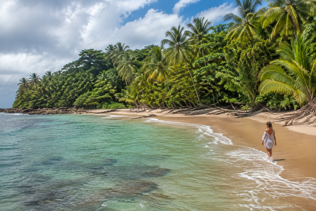 Coconut palms and dense vegetation border a tropical beach.
