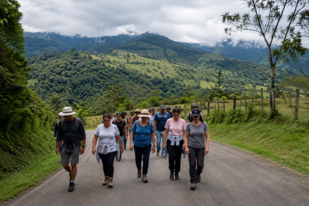 A group of people walks along a paved road through green hills.