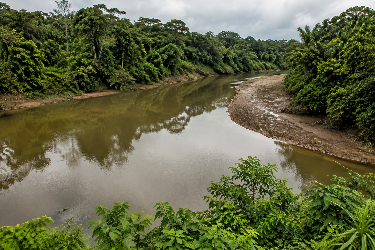 A tropical river bordered by dense green vegetation.