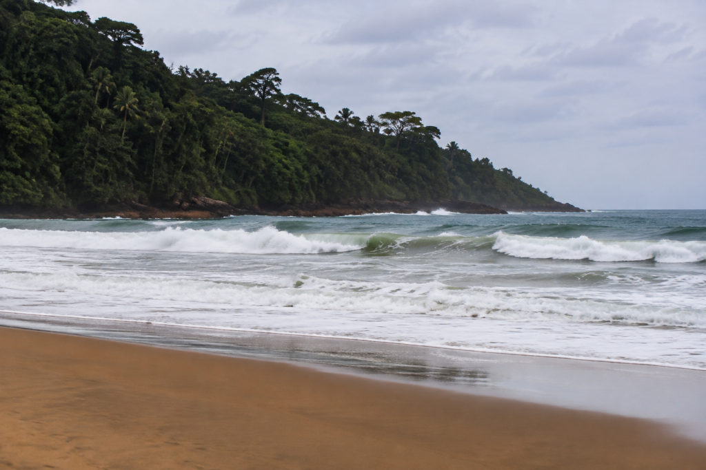 Waves breaking along a tropical beach.