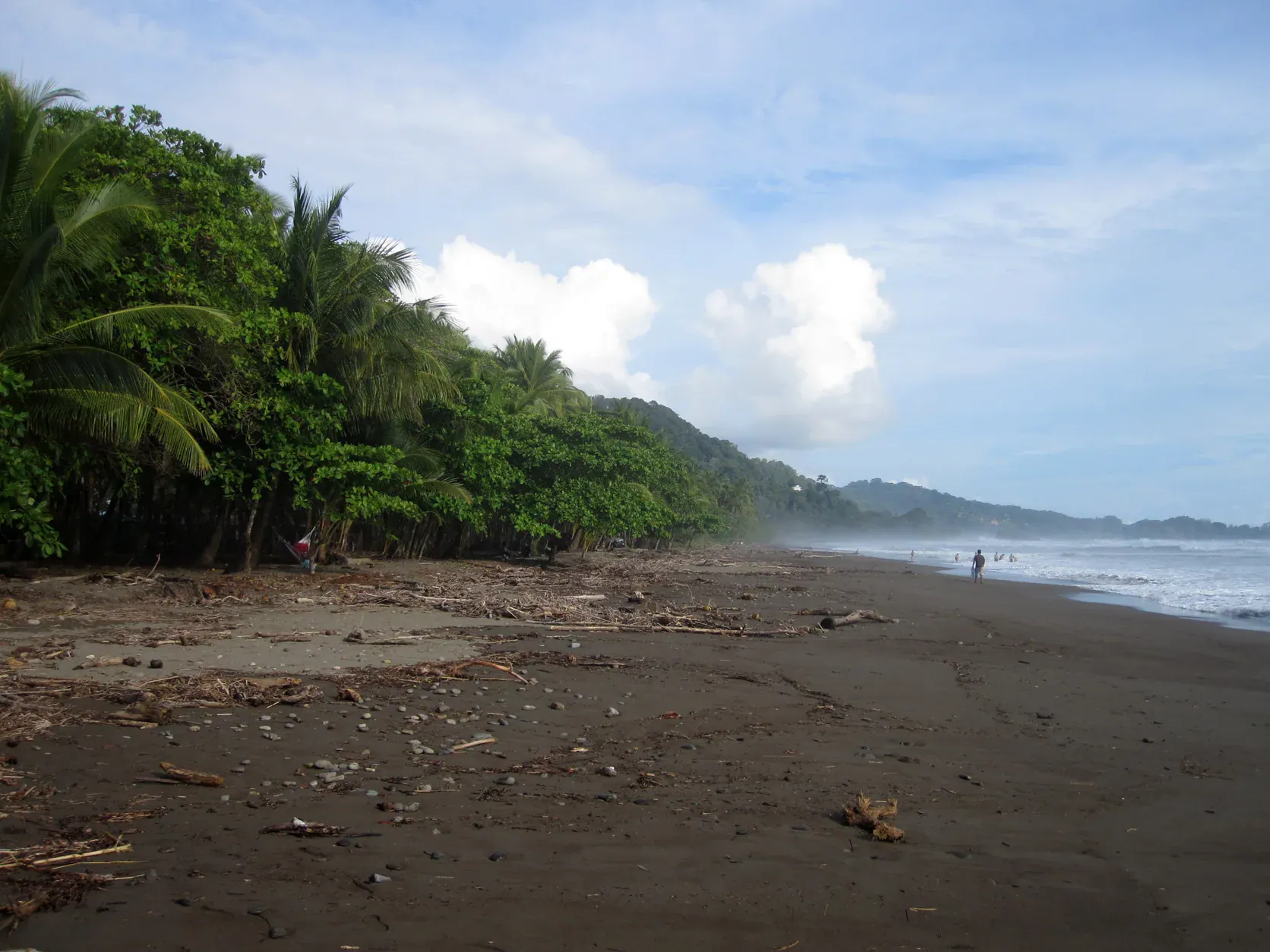 Dark-sand beach and rainforest at Dominical, Costa Rica, under a blue sky