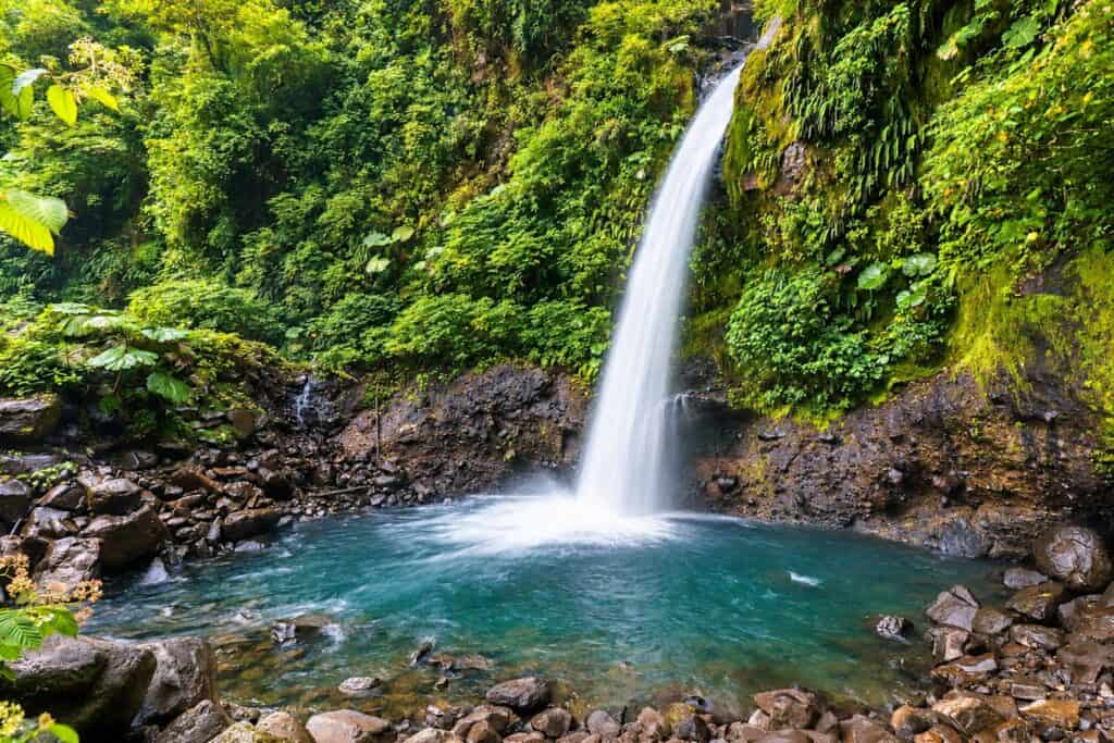 La Paz Waterfall falling into a rocky pool in the cloud forest near Vara Blanca, Costa Rica
