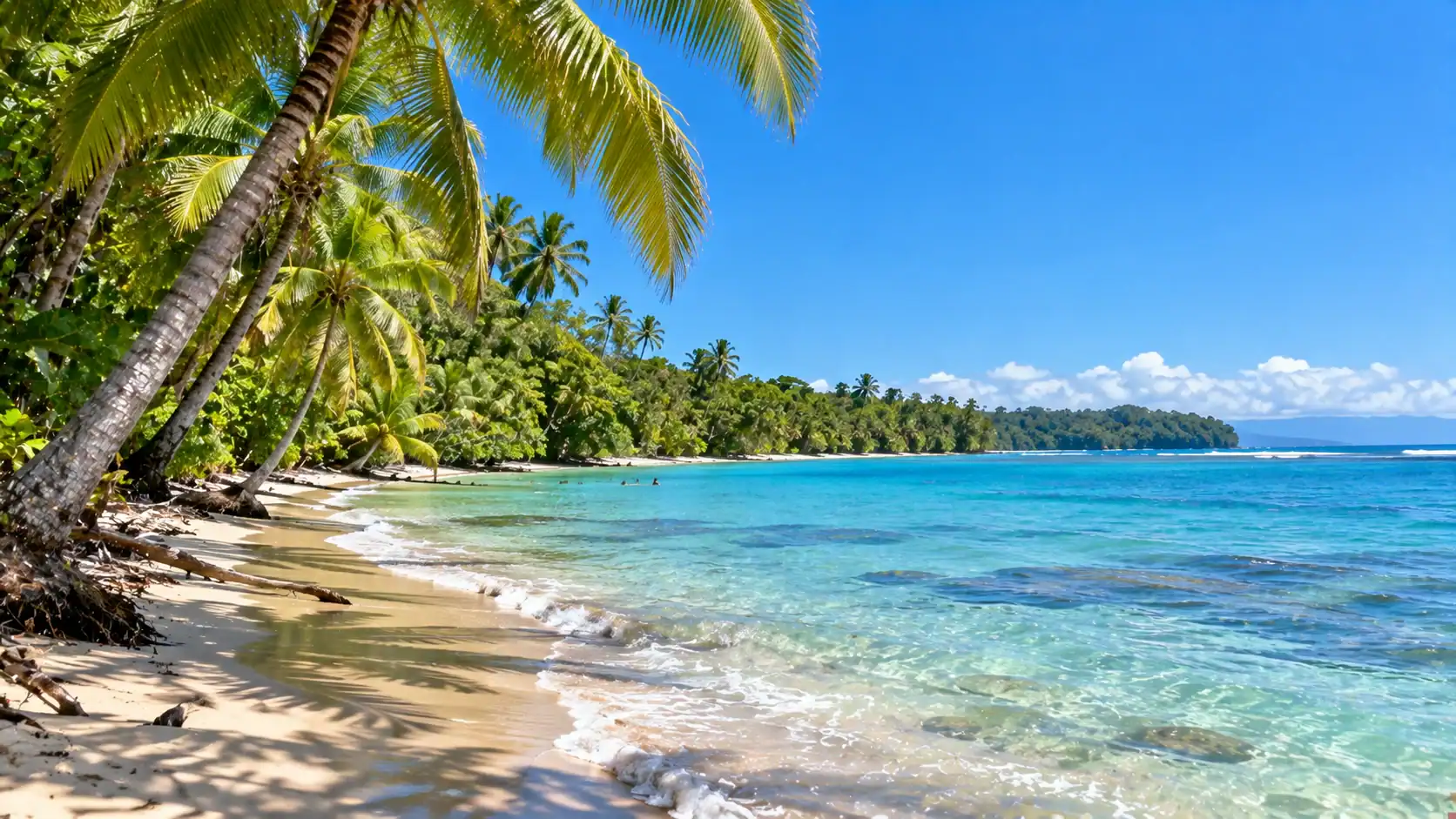 Palm-lined Caribbean beach at Cahuita in Limón province, Costa Rica